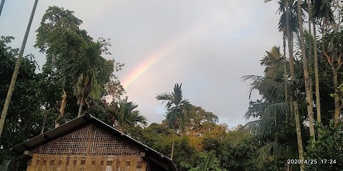 Kalia Gaon