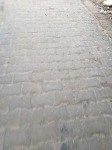 Kaleshwar Nath Mandir