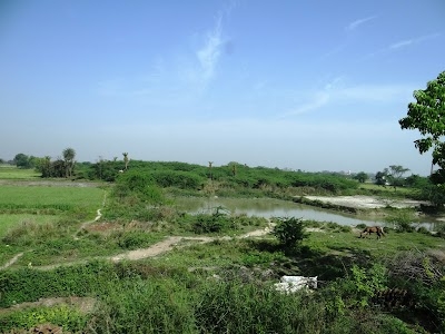 Azamabad Araon