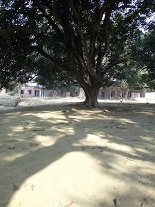 Darha