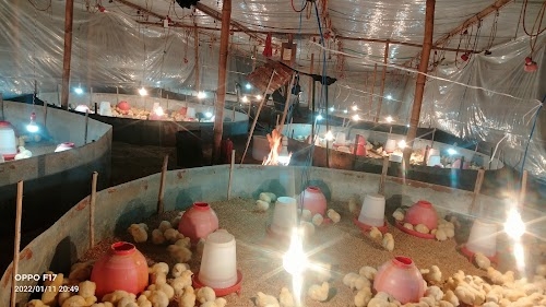 Rupam Bro Poultry