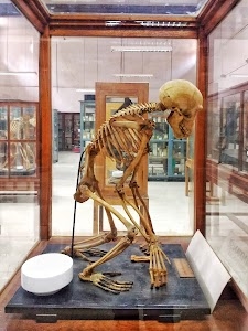 Zoology Museum