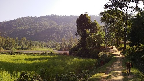 Khoragaon Pt II