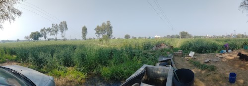 Dhankot