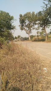 Samim Akhtar Poltry Farm
