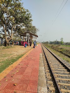 Patrasayer
