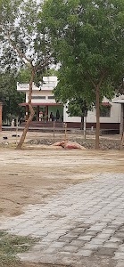 Vinod pradhan home ?