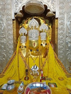 Maa Baglamukhi Darshan