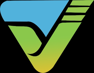VDT DATA SOLUTIONS PVT LTD