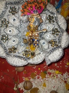 SHREE SHYAM TRADERS BHOJPUR