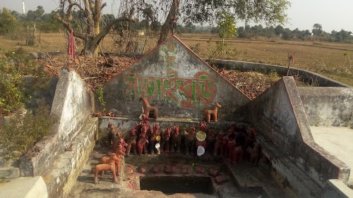 Maa Sataiburi Temple