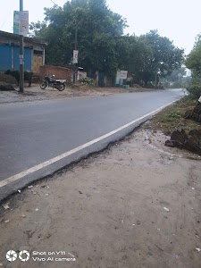Maudev ,pipal ka ped
