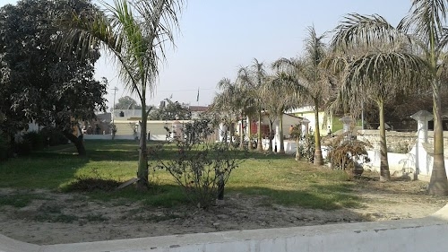 Unity Farm Bari