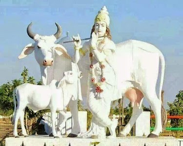 RNG Shivatva Estates