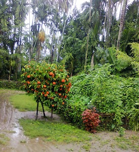 Chinai
