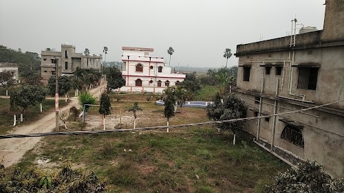 Pink City Garden