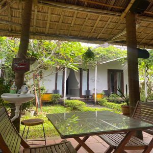 Coconut Garden