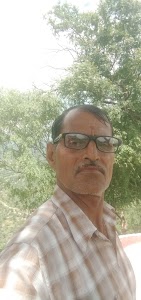 Noondara