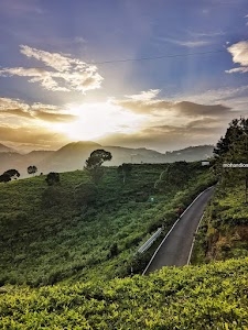 Nilgiri