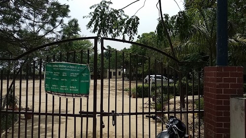 Global Pearls Public School Kaulgarh