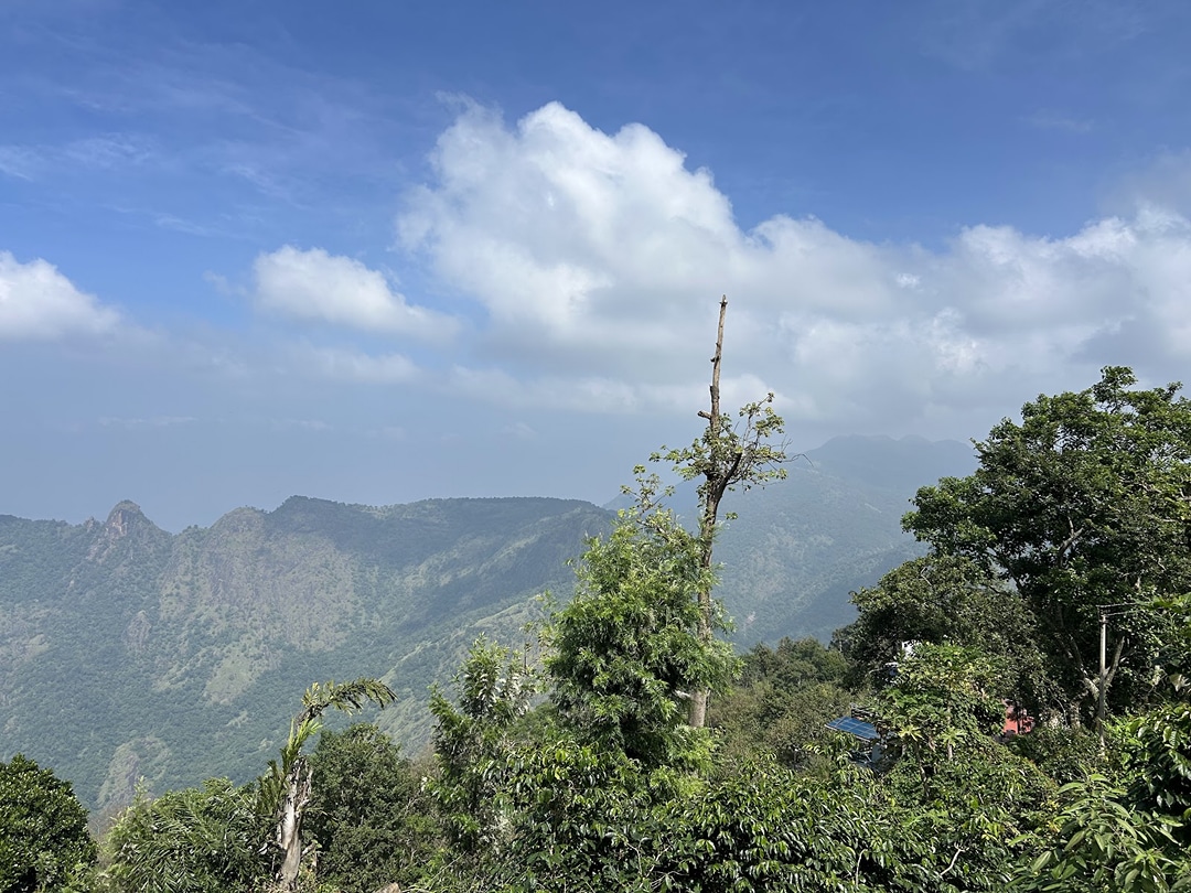 Palani Hills Northern Slope East RF