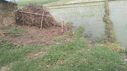 Uttam Pur