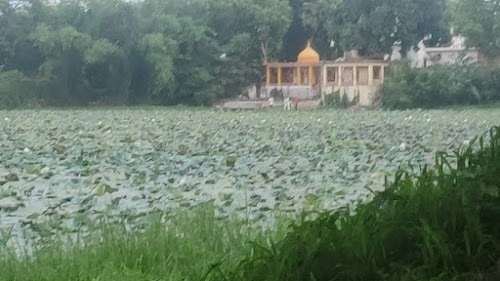 Bolan Talab