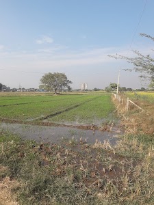 Saneta