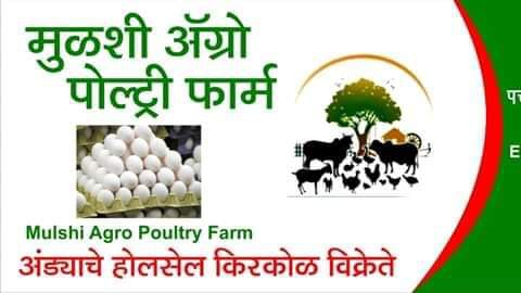 MULSHI AGRO POULTRY FARM