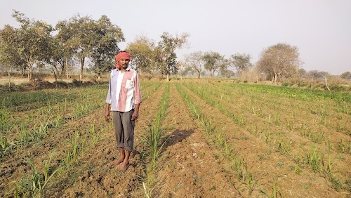 KVK Balod