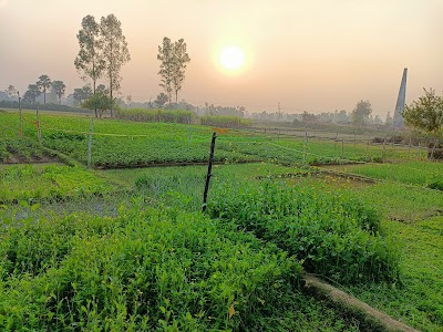 Aadampur