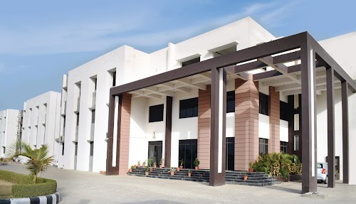 Apex International School