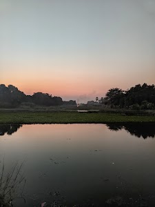 Amrai