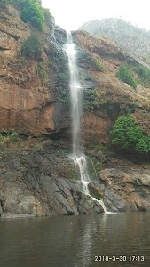 Koksara