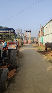 Bhakhri