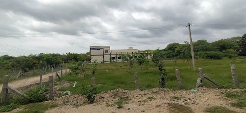Govt College