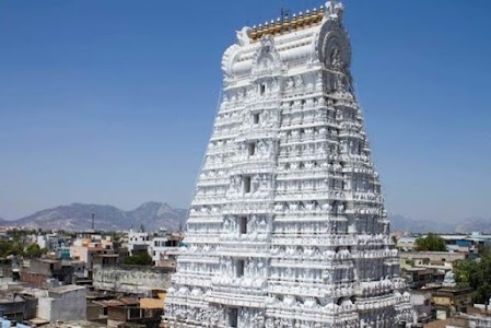 OYO 4674 Sujan Residency