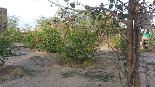 Mewariya