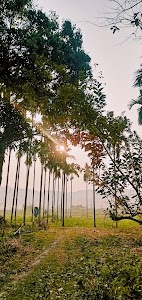 Siliguri