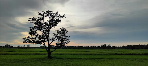 Maa tapesni chhanchanbeda