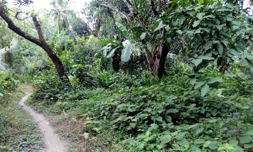 Baluhati