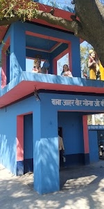 बाबा जाहर वीर गोगाजी माढी मचरौली