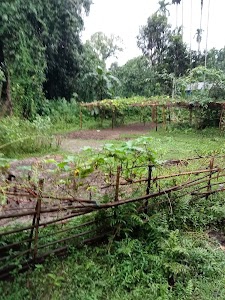Golapara