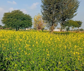 Amruta farm house