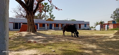 Lohrauli Bajar
