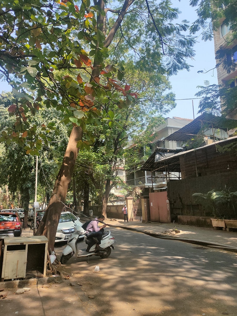 Hindu Colony, Dadar
