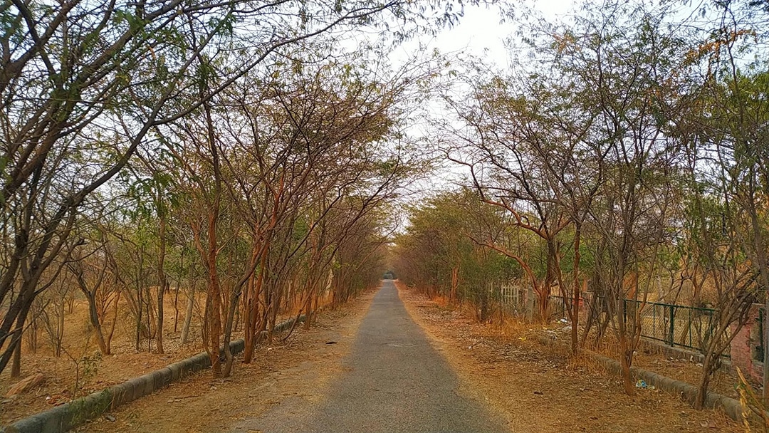 Aravali Hills