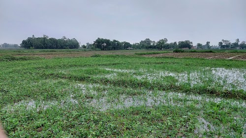 Vipin vishwakarma nivas bhawan