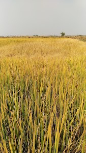 Aurangpur