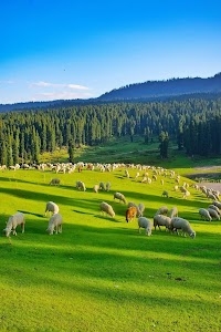 Badgam